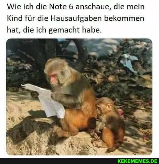 Wie ich die Note 6 anschaue, die mein
Kind für die Hausaufgaben bekommen hat, die ich gemacht habe.