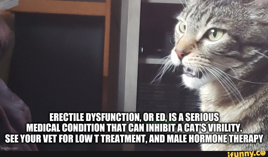 Endorsement Cat he ERECTILE DYSFUNCTION, OR ED, IS A SERIOUS MEDICAL