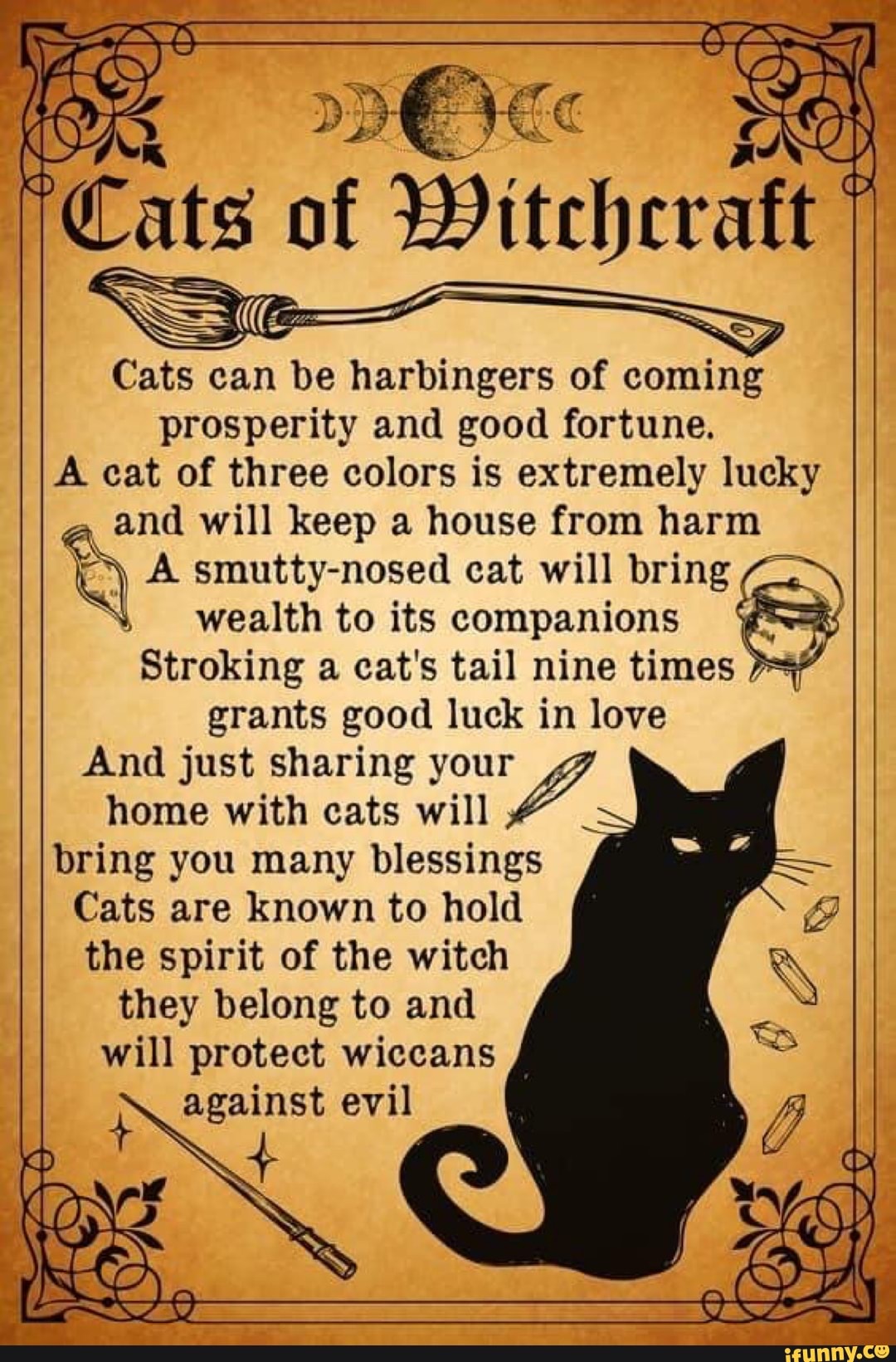 I love blazing through loads of gems just to buy a cat for the Scaredy Cats  sidequest, only to have to wait 3 hours to progress it 🙄🙄🙄🙄 :  r/HPHogwartsMystery