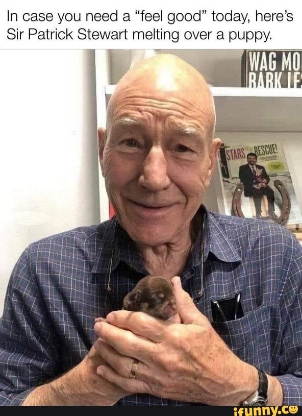 In case you need a "feel good" today, here's
Sir Patrick Stewart melting over a puppy.