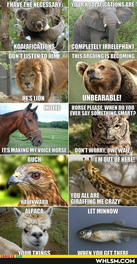 THAVETHE NECESSARY YOUHRUITRFCATIONS AnE
KOALAFIGATIONS COMPLETELY SRRELEPHANT DON'T LISTER TO THIS ARGUING BECOMING
HE'S UON UNBEBBABLE!
HOASE PLEASE
SAY
MARING MYVOIGEHORSE MOW TORRY, WAIT
OUT GF RERE!
YOU ALE ARE HAWKWARD GIRBFFING ME CRAZY
ALFAGA LET SUNNOY