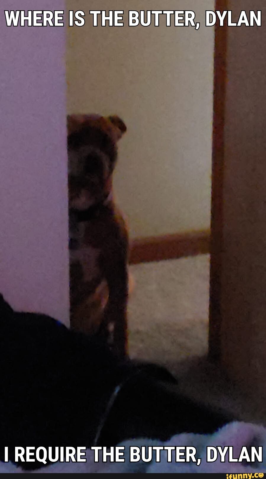 WHERE IS THE BUTTER, DYLAN
I REQUIRE THE BUTTER, DYLAN
