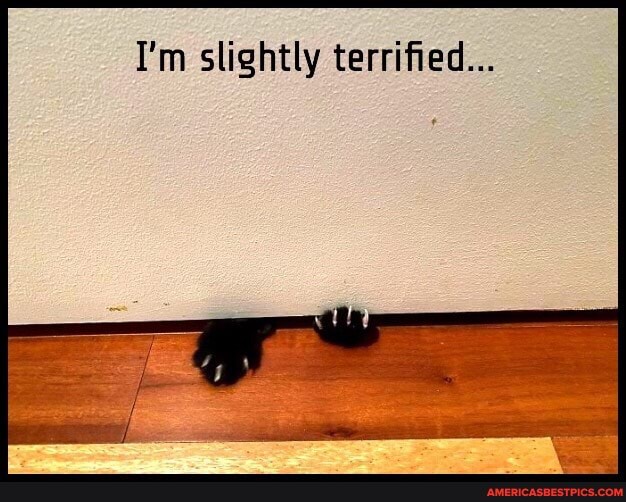 I'm slightly terrified...