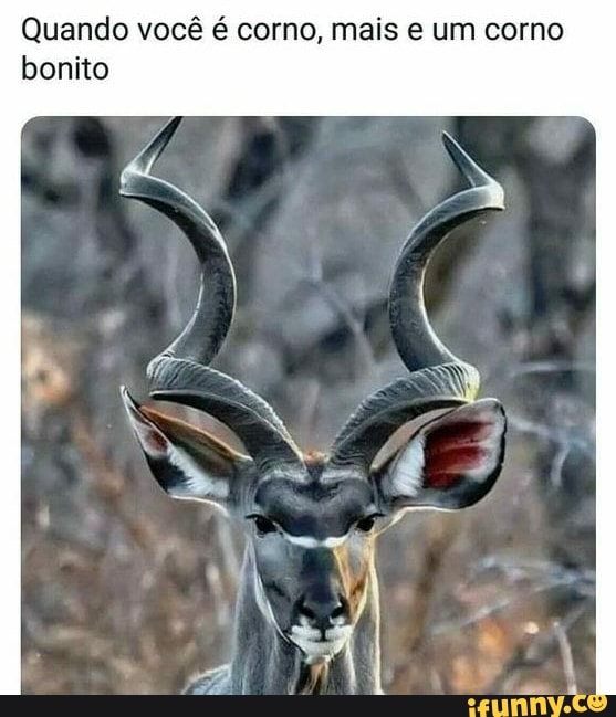 Quando você é corno, mais e um corno bonito