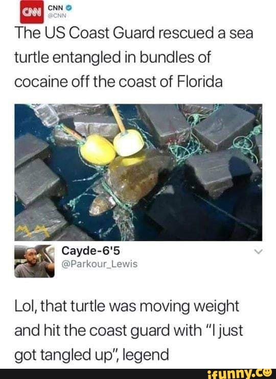 mCNNa
The US Coast Guard rescued a sea
turtle entangled in bundles of
cocaine off the coast of Florida
Lol, that turtle was moving weight
and hit the coast guard with ”I just
got tangled up", legend