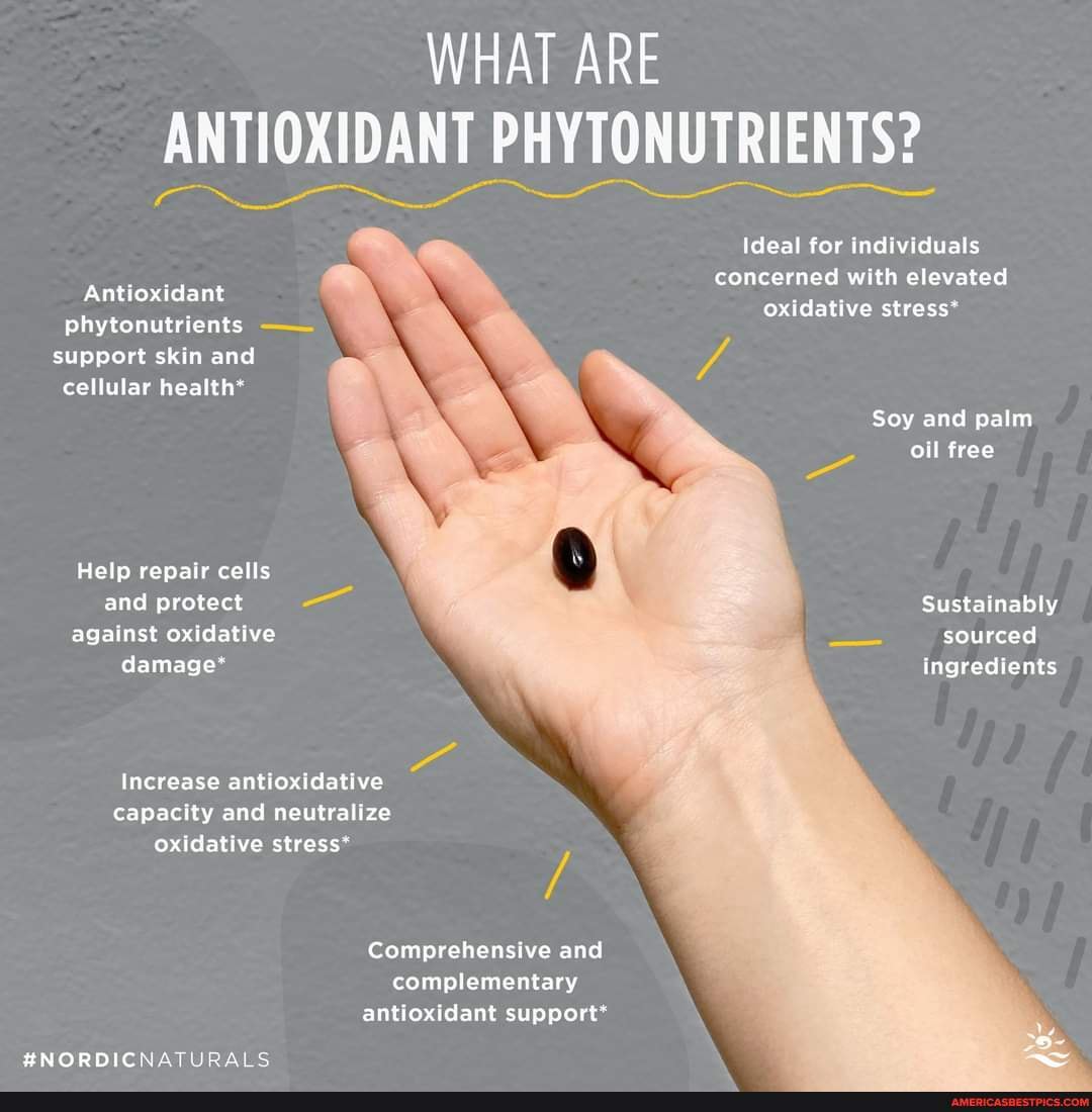 What are Antioxidant Phytonutrients? WHAT ARE ANTIOXIDANT