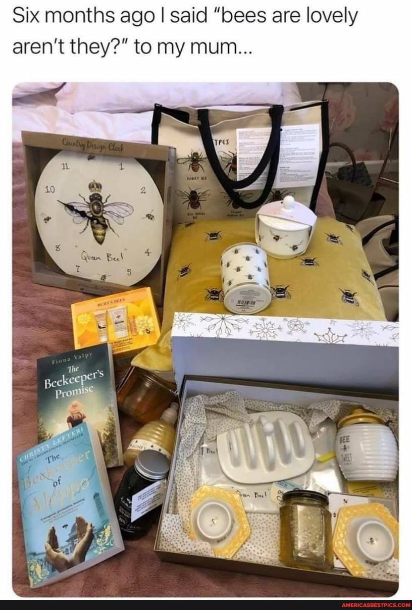Six months ago I said "bees are lovely aren't they?" to my mum...