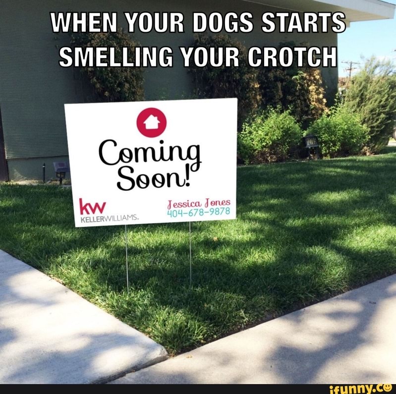 Beastyality memes. Best Collection of funny Beastyality pictures on iFunny