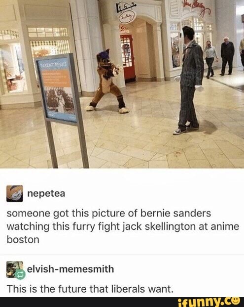 Featured image of post Anime Bernie Sanders