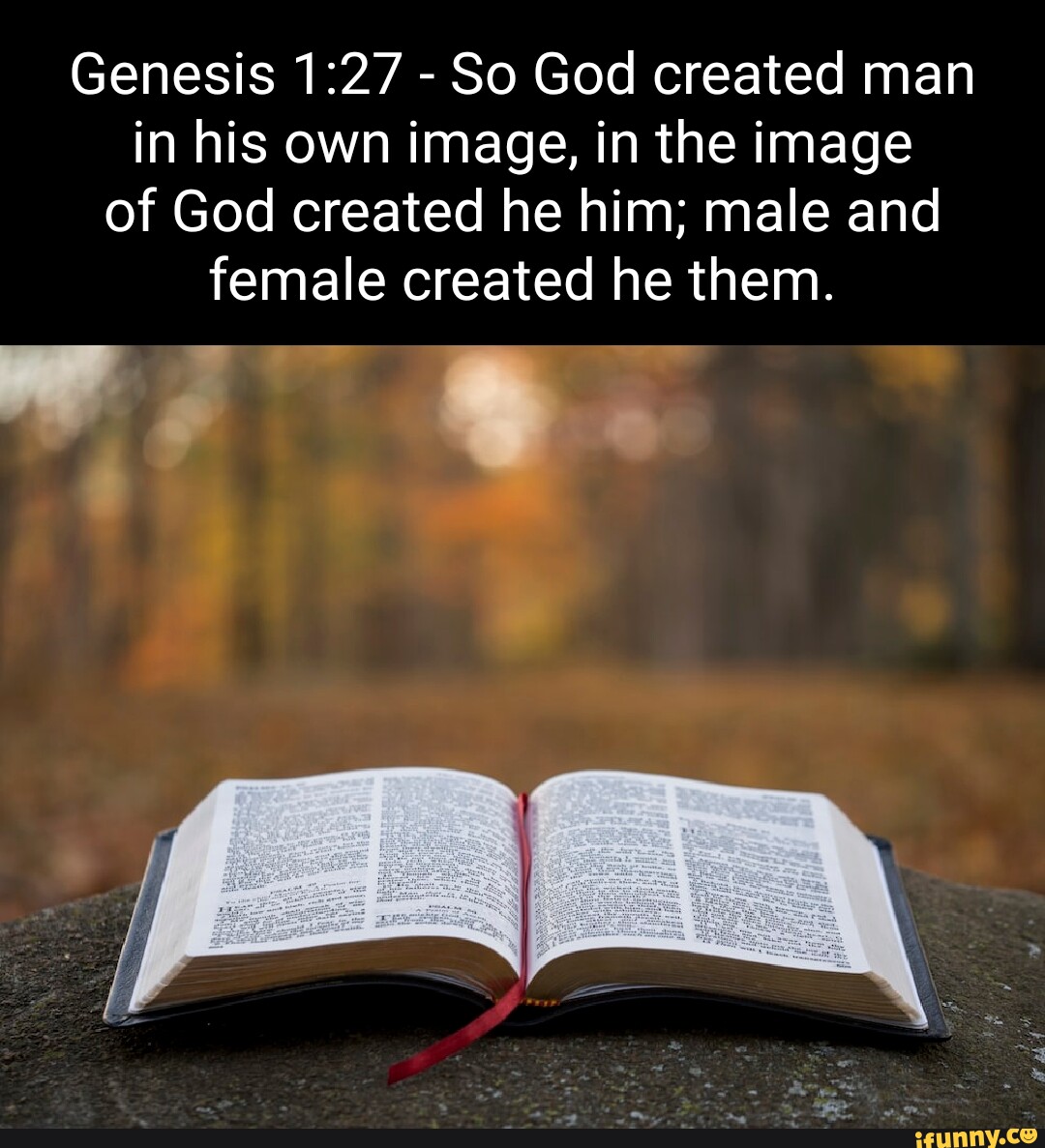 genesis-so-god-created-man-in-his-own-image-in-the-image-of-god