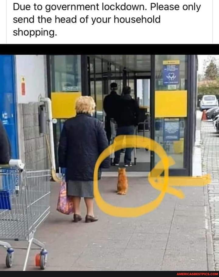 Due to government lockdown. Please only send the head of your household shopping.