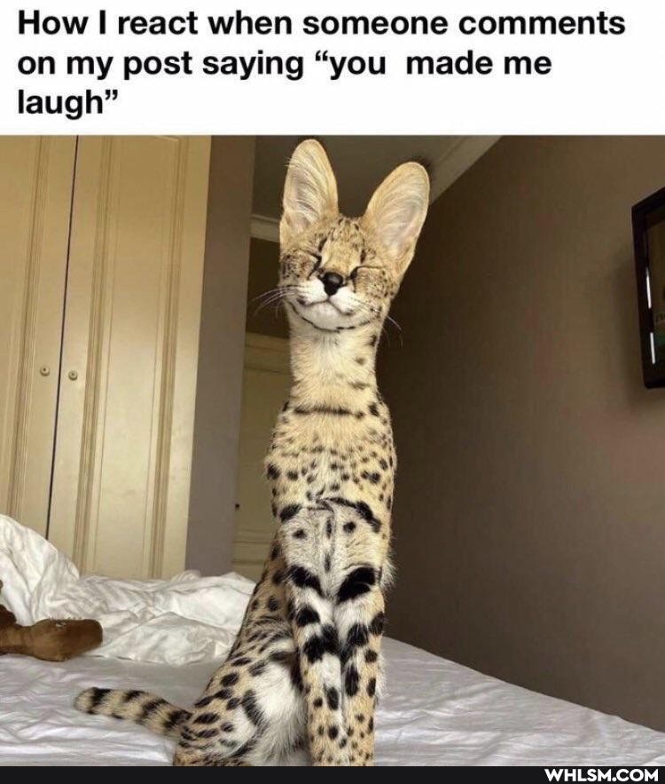 How react when someone comments on my post saying "you made me laugh"