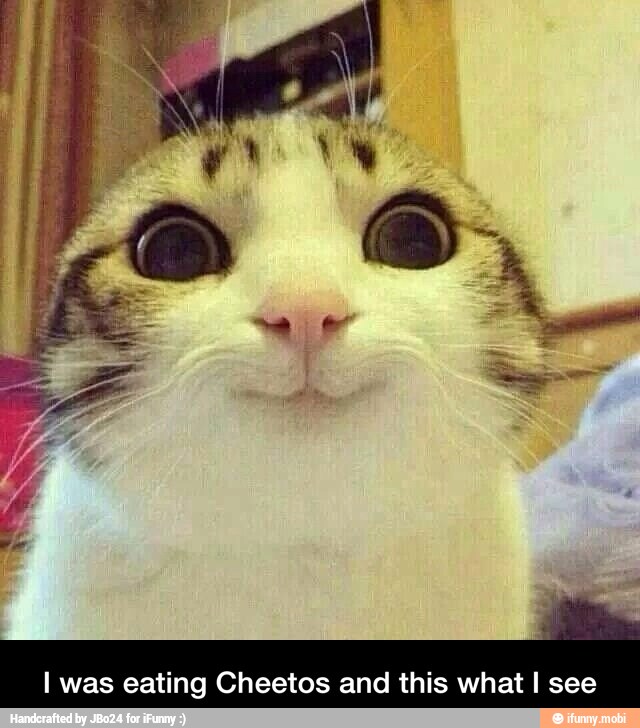 I was eating Cheetos and this what I see - I was eating Cheetos and this what I see