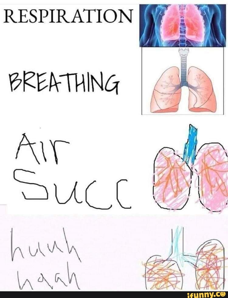 Respiration Breathing Aw - Ifunny