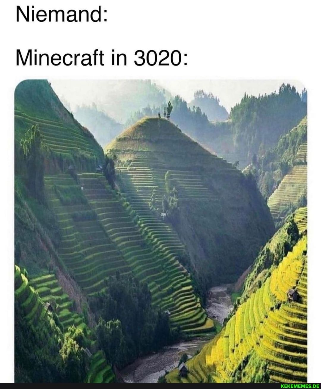 Niemand:
Minecraft in 3020: