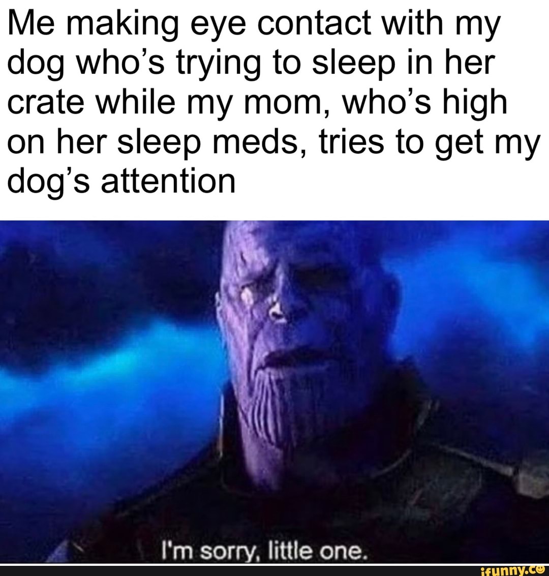 Me making eye contact with my dog who's trying to sleep in her crate while my mom, who's high on her sleep meds, tries to get my dog's attention
I'm sorry, little one.