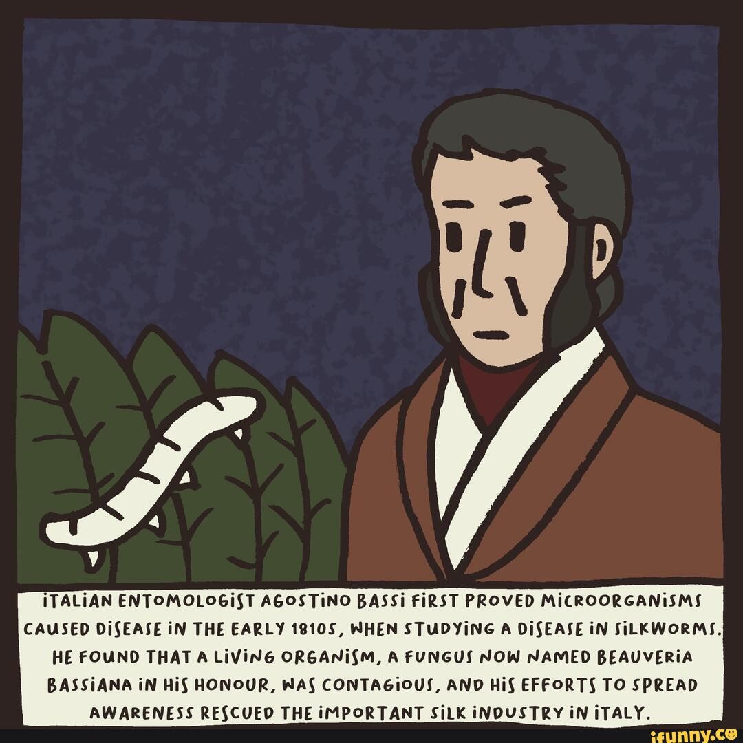 TN5.6 Germ Theory ITALIAN ENTOMOLOGIST AGOSTINO BASSI FIRST PROVED