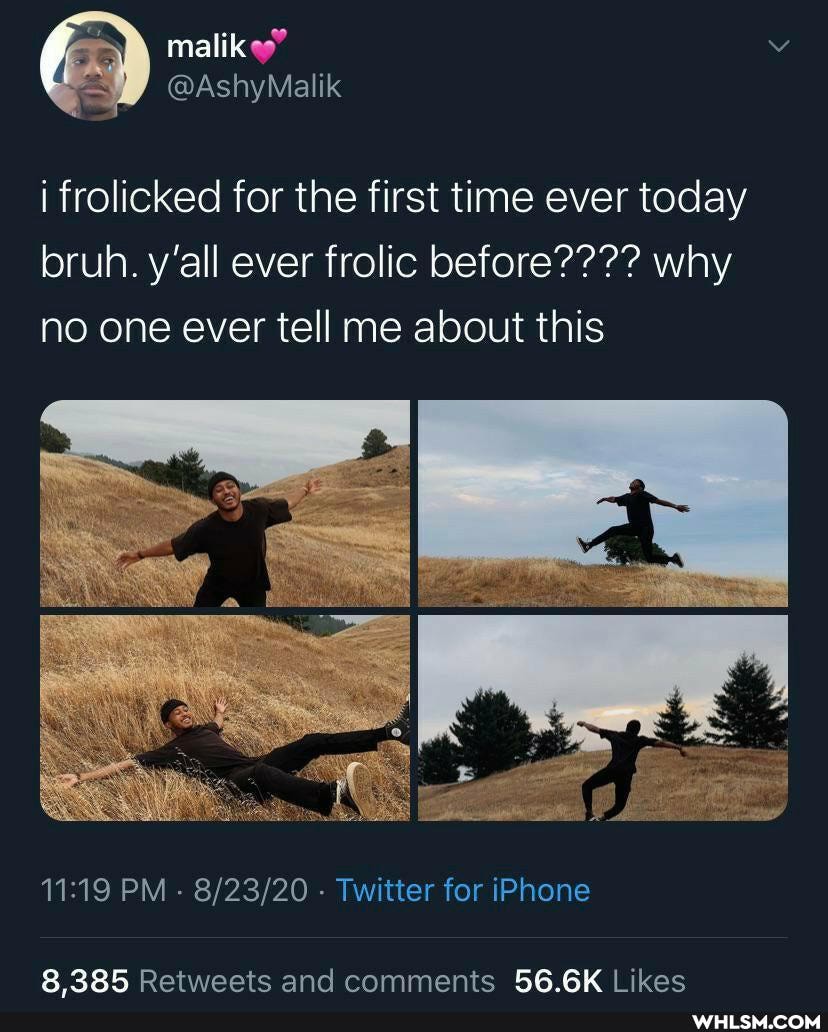 Wile NN
@AshyMalik
i frolicked for the first time ever today bruh. y'all ever frolic before???? why no one ever tell me about this
PM - - Twitter for iPhone
8 285 Retweets and comments 56.6K Likes