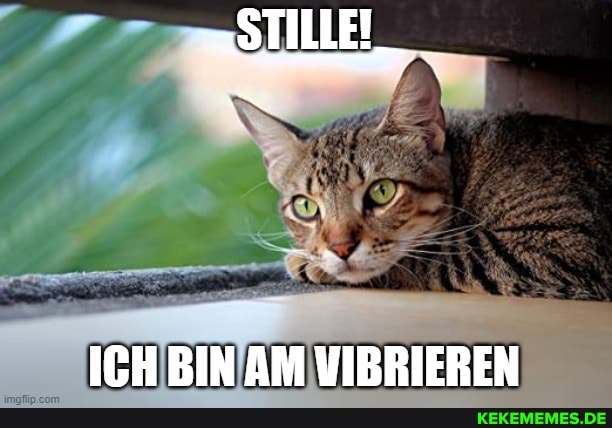 "SIE,
ICH BIN AM VIBRIEREN