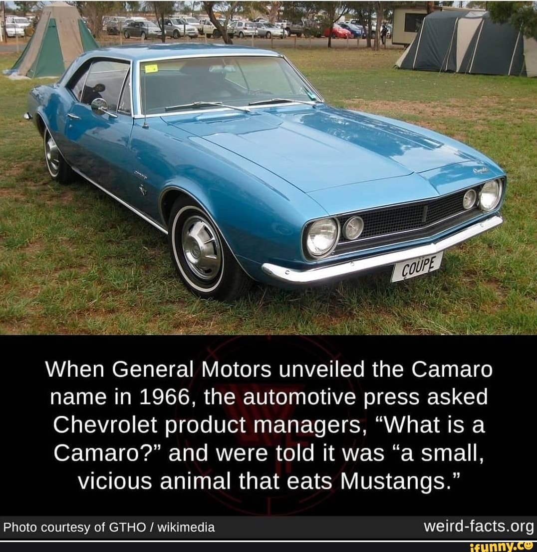 When General Motors unveiled the Camaro name in 1966, the automotive press  asked Chevrolet product managers, 