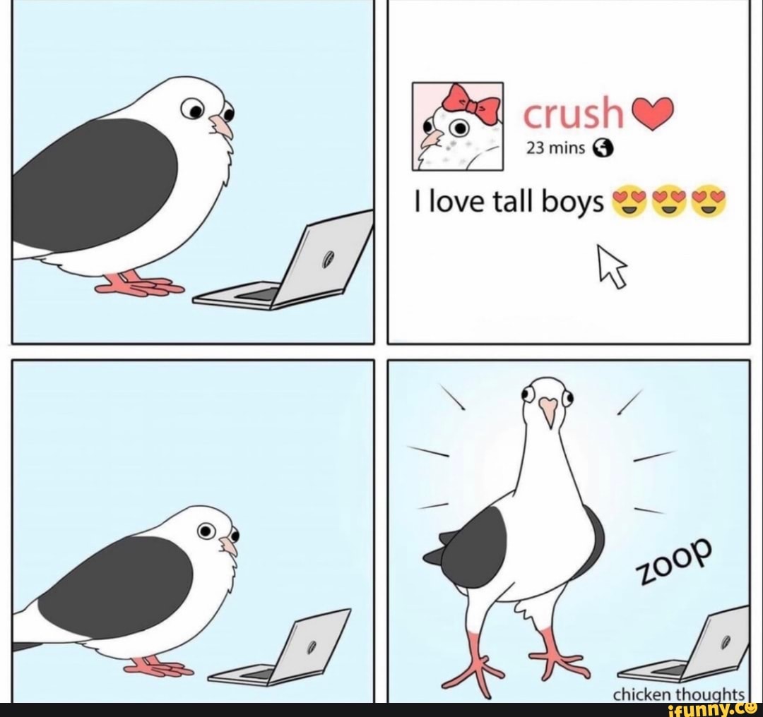 crush
23 mins @
love tall boys
chicken thoughts