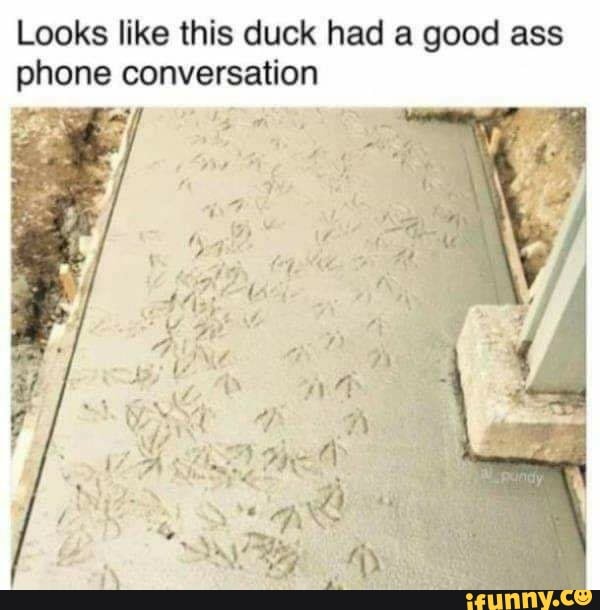 Looks like this duck had a good ass
phone conversation
1