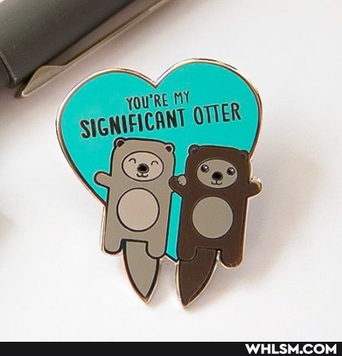 yourre MY \
SIGNIFICANT OTTER