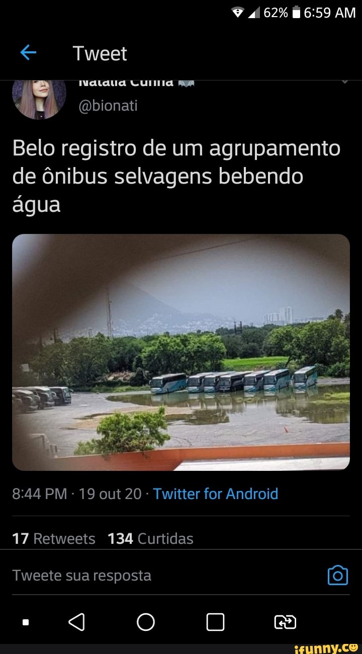 62% AM
Tweet
(Obionati
Belo registro de um agrupamento de ônibus selvagens bebendo água
PM - 19 out 20 Twitter for Android
17 Retweets 134 Curtidas
Tweete sua resposta