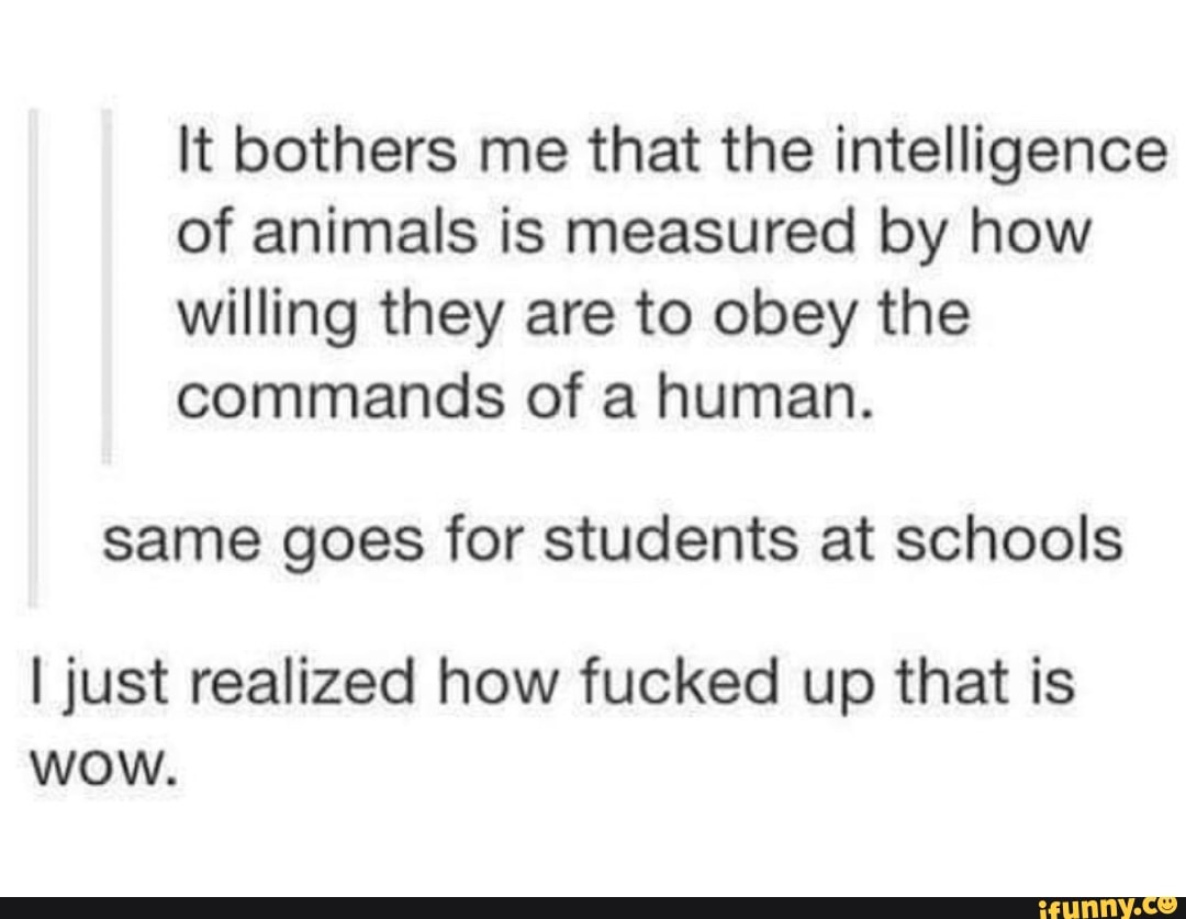It bothers me that the intelligence
of animals is measured by how
willing they are to obey the
commands of a human.
same goes for students at schools
I just realized how fucked up that is
wow.