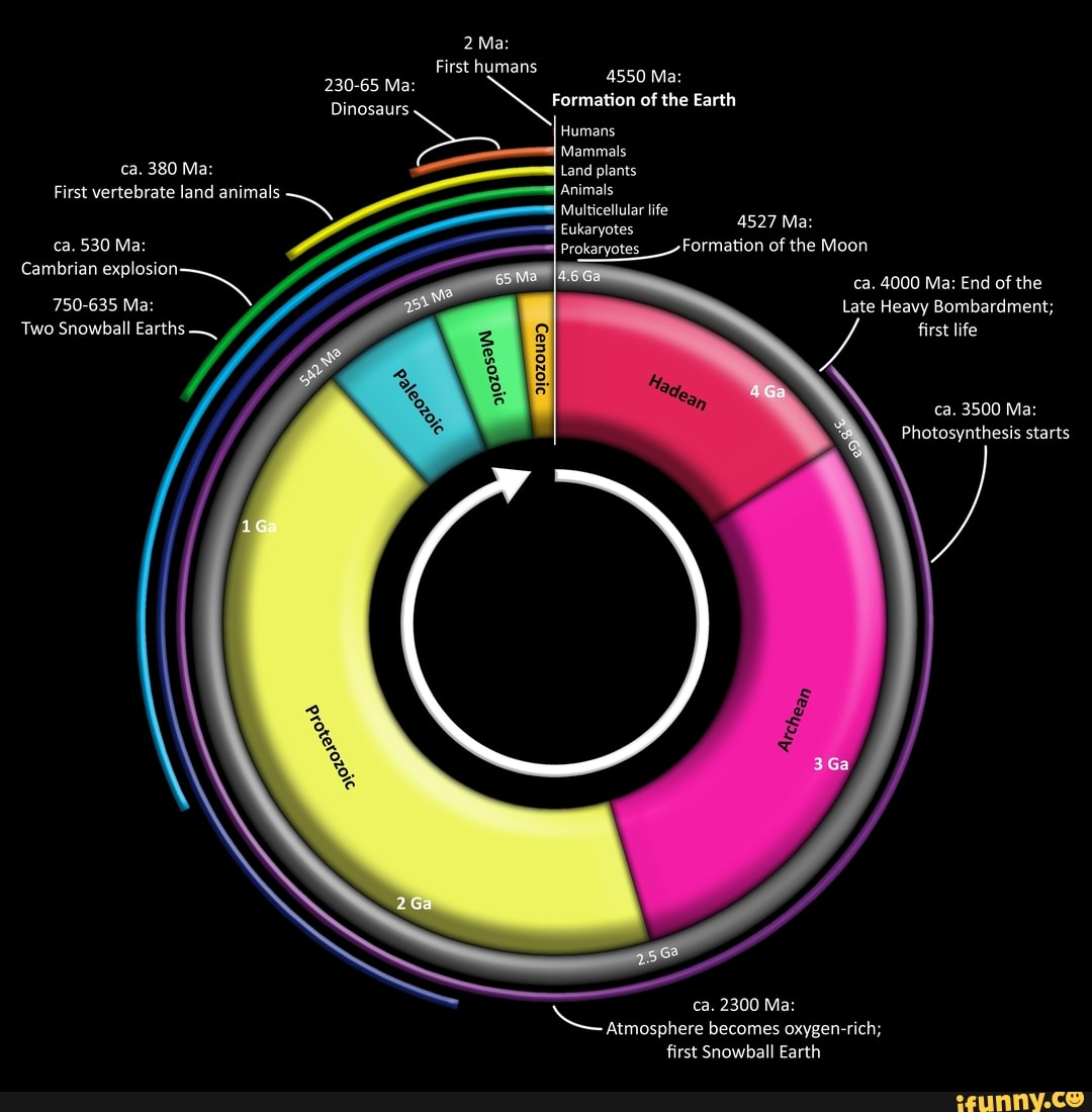 2 Ma: First Humans 4550 Ma: 230-65 Ma: Dinosaurs Formation Of The Earth 