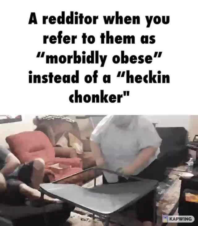 A Redditor When You Refer To Them As Morbidly Obese Instead Of A Heckin Chonker