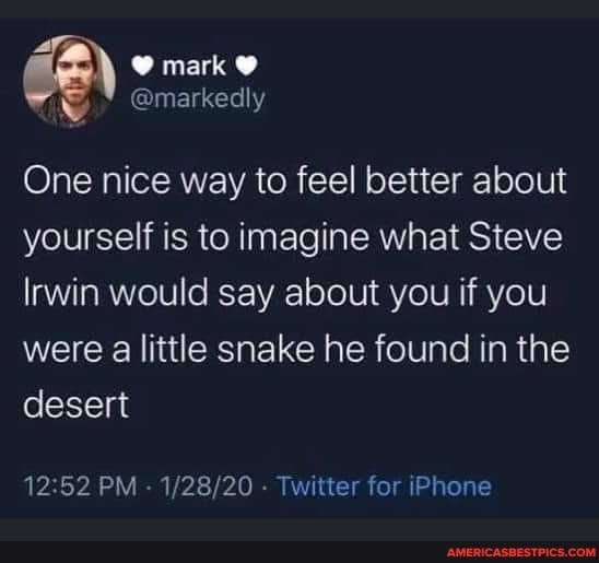 O mark
@markedly
One nice way to feel better about yourself is to imagine what Steve
Irwin would say about you if you were a little snake he found in the desert
PM - Twitter for iPhone