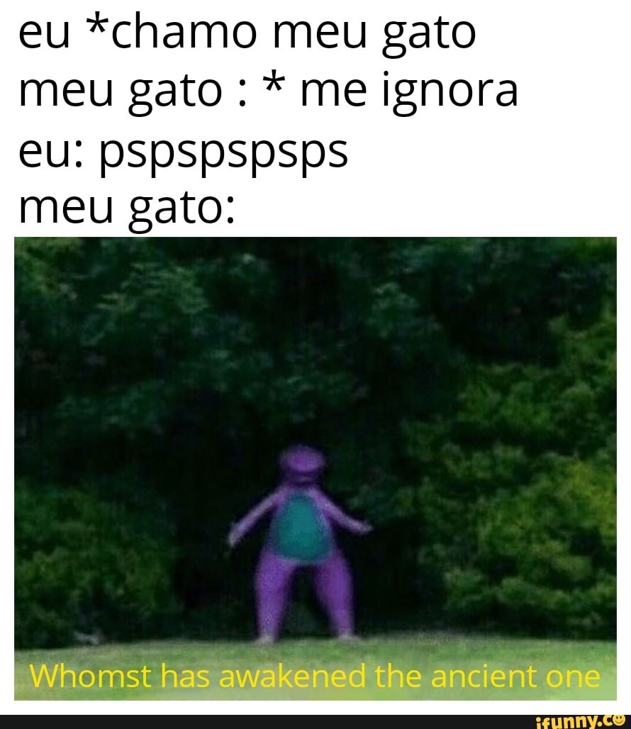 eu *chamo meu gato
meu gato * me ignora
meu gato: