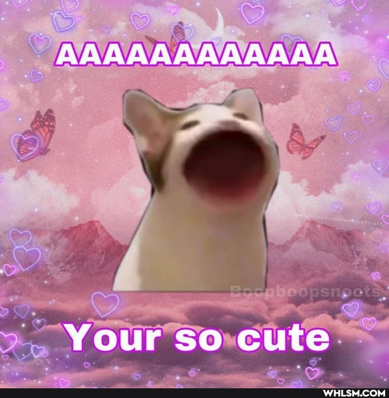 AAA ANA AVA AA AA
Your so cute