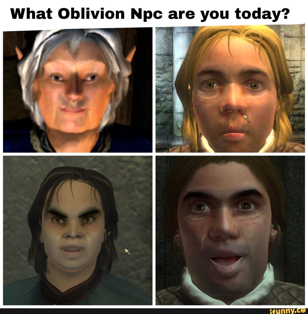 Npc pro. Обливион NPC. Oblivion NPC Мем. НПС из Обливиона. Мемы Обливиона.