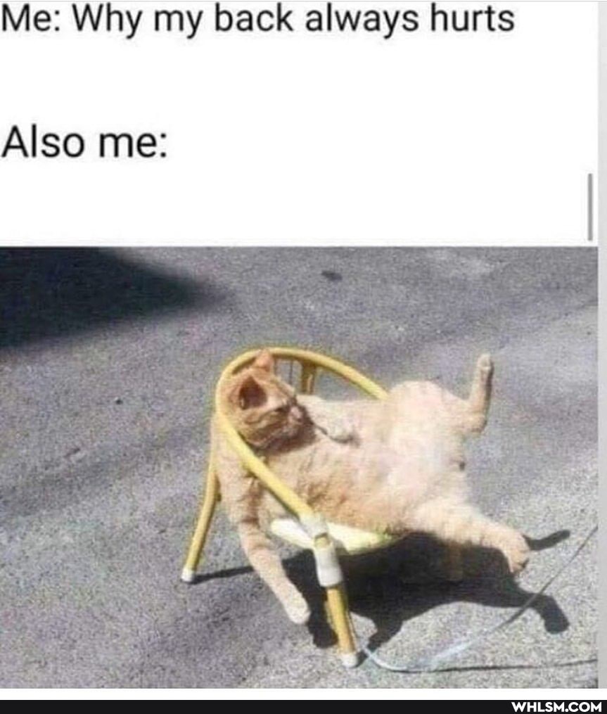 Me: Why my back always hurts
Also me: