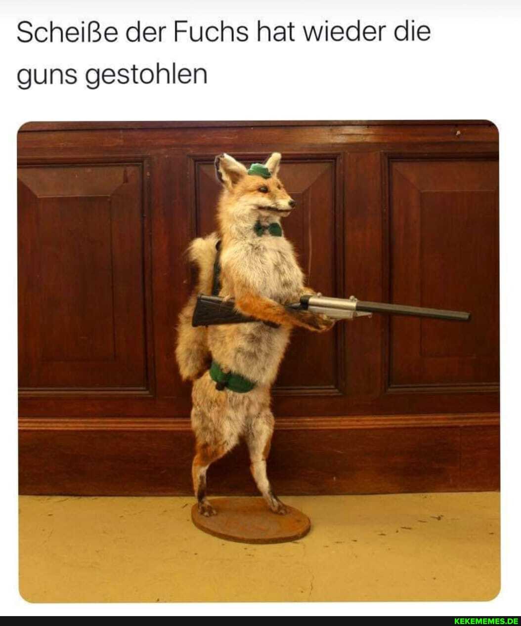 Scheiße der Fuchs hat wieder die guns gestohlen