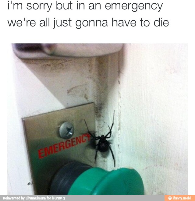 i'm sorry but in an emergency
we're all just gonna have to die