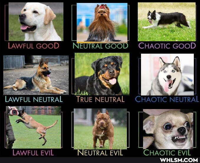 CHAOTIC GOOD
LAWFUL NEUTRAL NEUTRAL