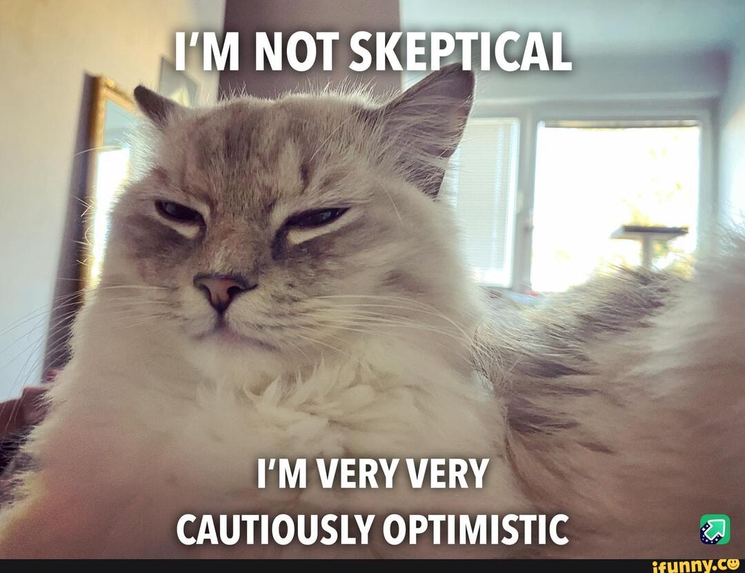 Skeptical_cat memes. Best Collection of funny Skeptical_cat pictures on iFunny