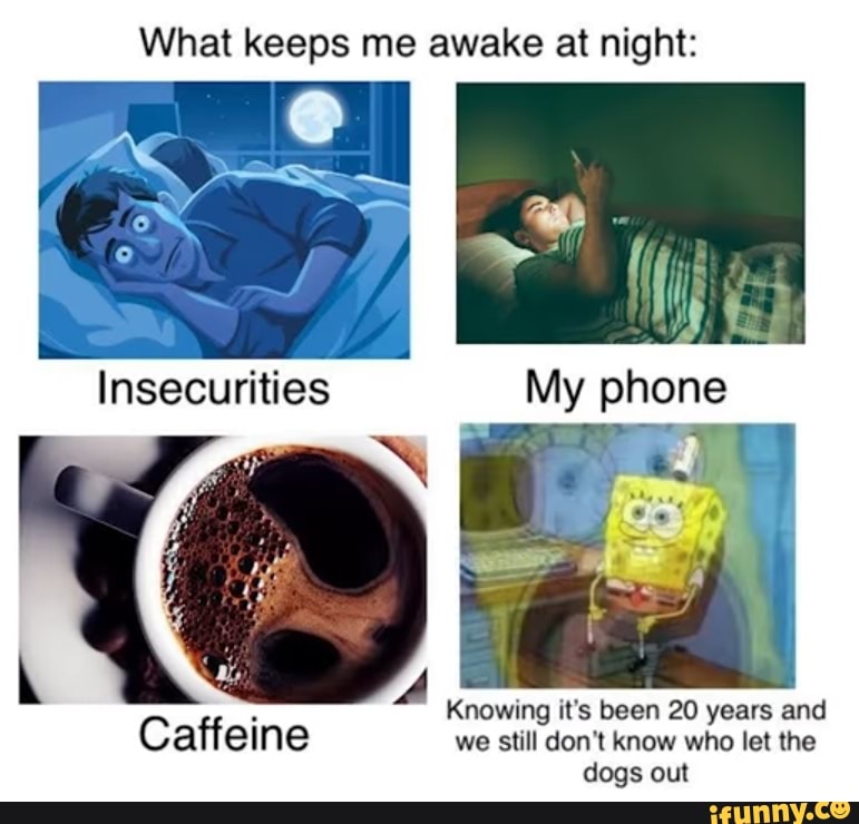 What keeps me awake at night:
Knowing it's been 20 years and
Caffeine we still don't know who let the dogs out