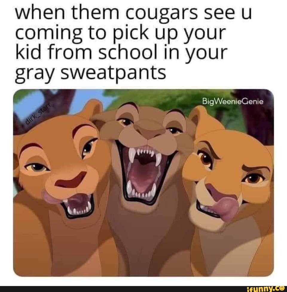 When them cougars see u coming to pick up your kid from school in your gray  sweatpants Big WeenieGenie - iFunny