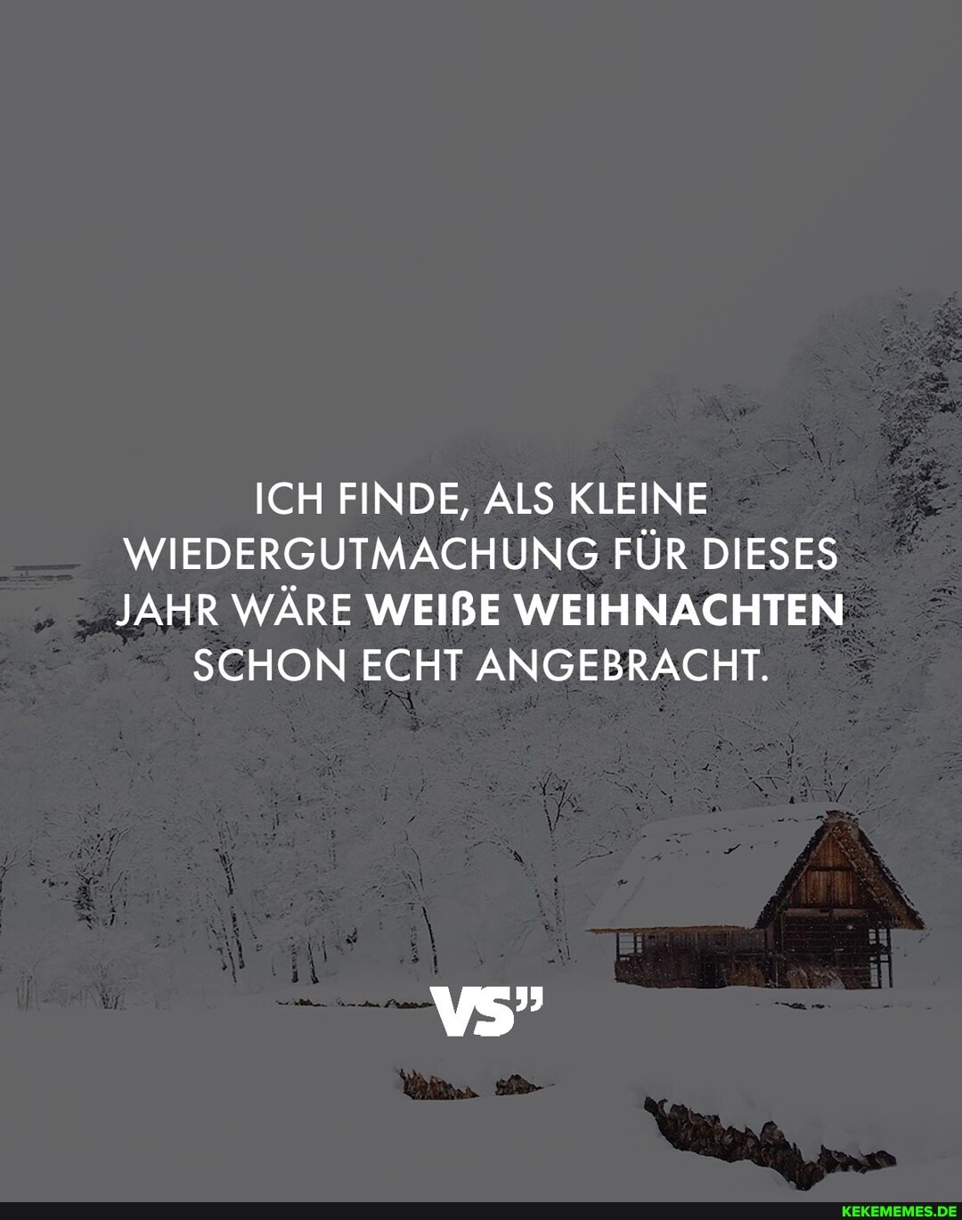 ICH FINDE, ALS KLEINE WIEDERGUTMACHUNG FÜR DIESES JAHR WÄRE WEIBE WEIHNACHTEN
SCHON ECHT ANGEBRACHT.