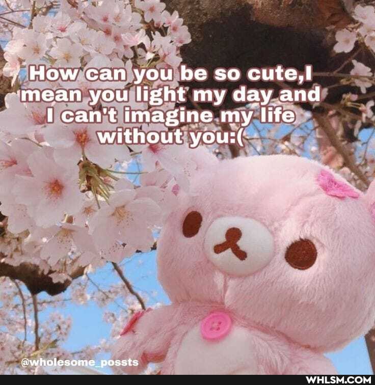 How can you be so cute,! mean you light my day and can't tmagine my life without you:(
insehaloeama nnectc