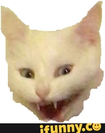 cat - Discord Emoji