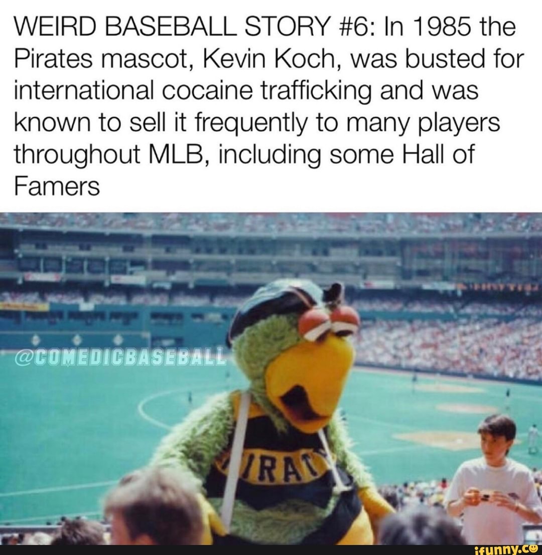 WEIRD BASEBALL STORY #6: In 1985 the
Pirates mascot, Kevin Koch, was busted for
international cocaine trafficking and was
known to sell it frequently to many players
throughout MLB, including some Hall of
Famers