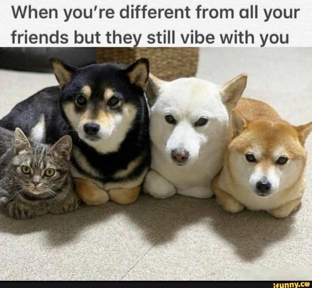 When you're different from all your
friends but they still vibe with you