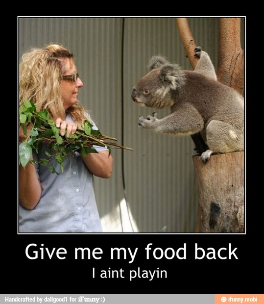 AREA
Give me my food back
Laint playin - Give me my food back
I aint playin