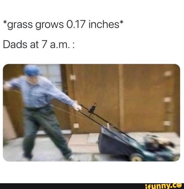 *grass grows 0.17 inches*
Dads at 7 a.m.: