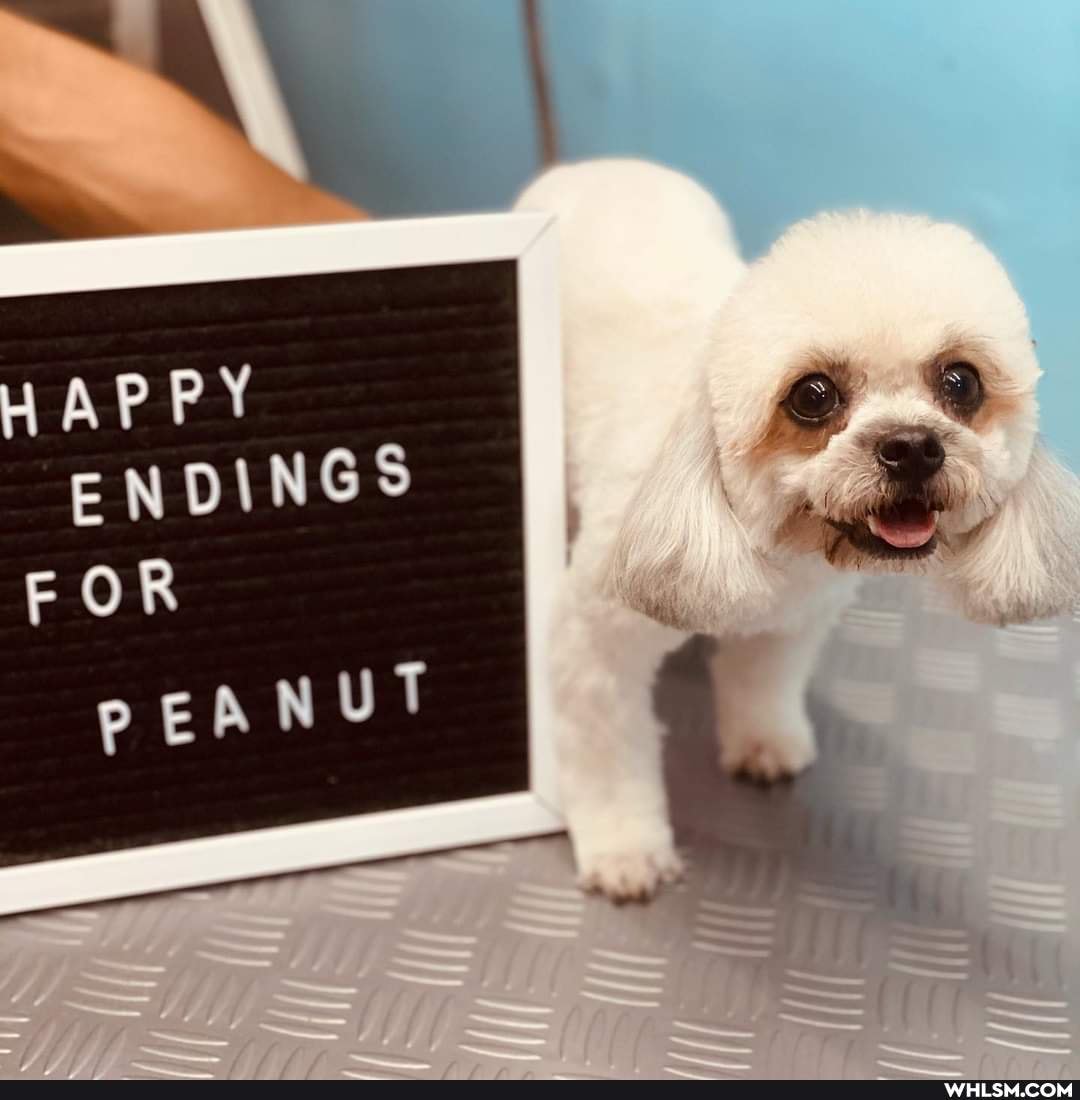 AP
ENDINGS FOR
pEANUT
